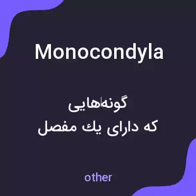 معنی monocondyla به فارسی معنی monocondyla به فارسی