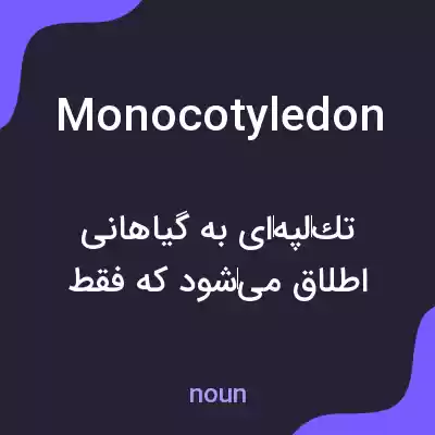 معنی monocotyledon به فارسی