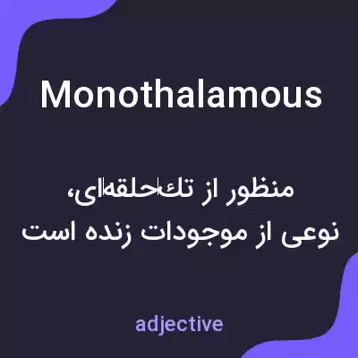معنی monothalamous به فارسی
