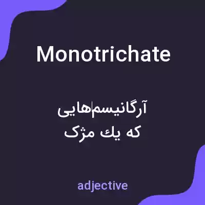 معنی monotrichate به فارسی معنی monotrichate به فارسی