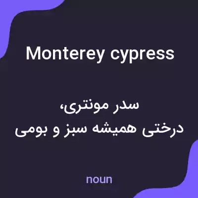 معنی monterey cypress به فارسی معنی monterey cypress به فارسی