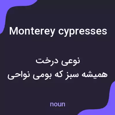 معنی monterey cypresses به فارسی معنی monterey cypresses به فارسی
