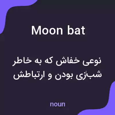 معنی moon bat به فارسی معنی moon bat به فارسی