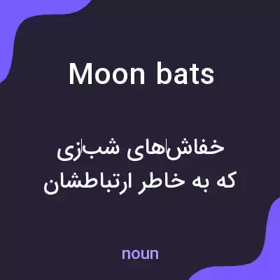 معنی moonbats به فارسی معنی moonbats به فارسی