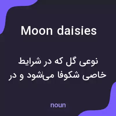 معنی moon daisies به فارسی معنی moon daisies به فارسی