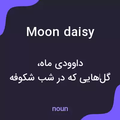 معنی moon daisy به فارسی معنی moon daisy به فارسی