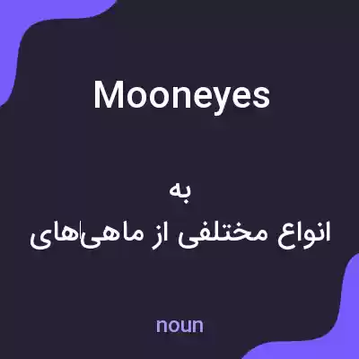 معنی mooneyes به فارسی