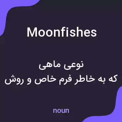 معنی moonfishes به فارسی