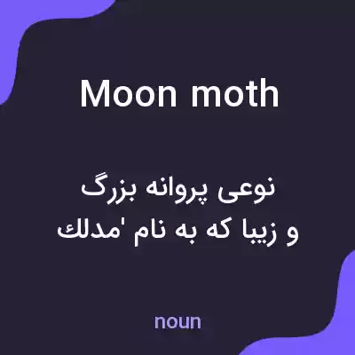 معنی moon moth به فارسی معنی moon moth به فارسی