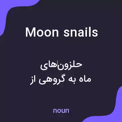 معنی moon snails به فارسی معنی moon snails به فارسی