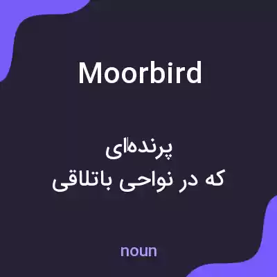 معنی moorbird به فارسی