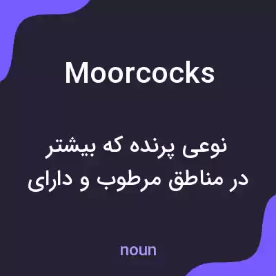 معنی moorcocks به فارسی