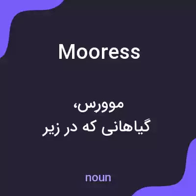 معنی mooress به فارسی معنی mooress به فارسی