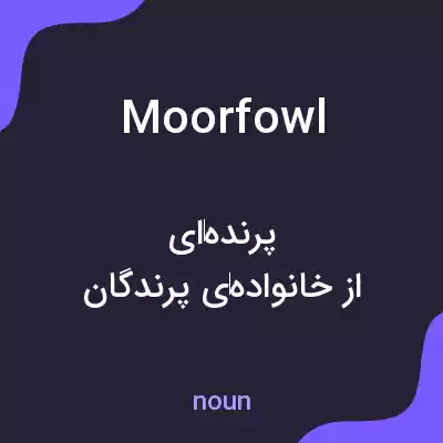 معنی moorfowl به فارسی معنی moorfowl به فارسی