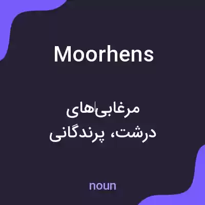 معنی moorhens به فارسی معنی moorhens به فارسی
