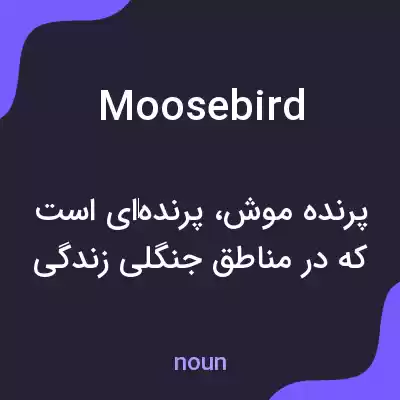 معنی moosebird به فارسی معنی moosebird به فارسی
