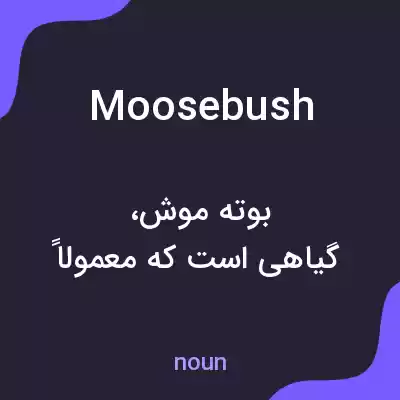 معنی moosebush به فارسی معنی moosebush به فارسی