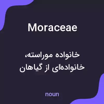 معنی moraceae به فارسی معنی moraceae به فارسی