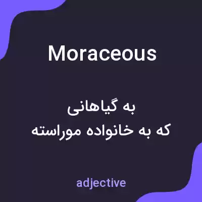 معنی moraceous به فارسی معنی moraceous به فارسی