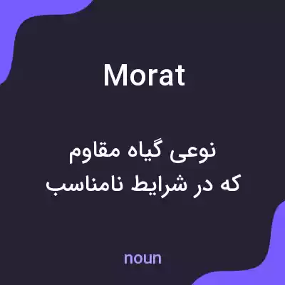 معنی morat به فارسی معنی morat به فارسی