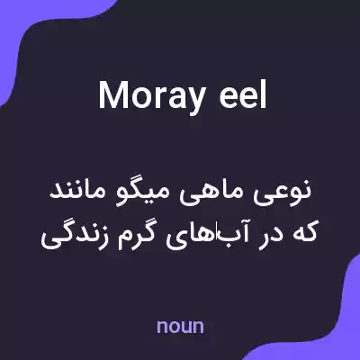 معنی moray eel به فارسی معنی moray eel به فارسی