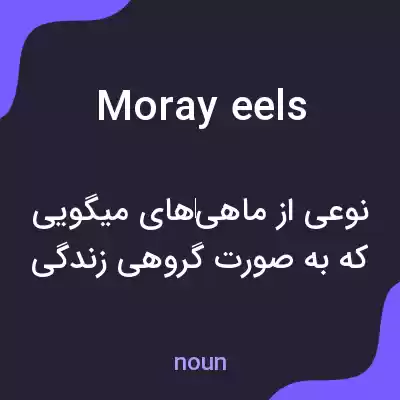 معنی moray eels به فارسی معنی moray eels به فارسی
