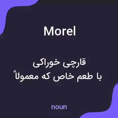 معنی morel به فارسی معنی morel به فارسی
