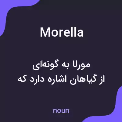 معنی morella به فارسی معنی morella به فارسی