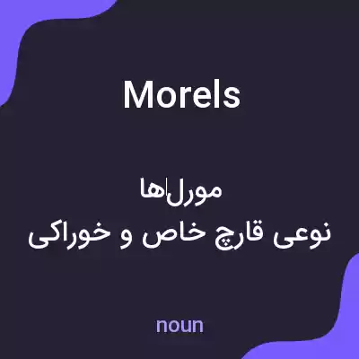 معنی morels به فارسی معنی morels به فارسی