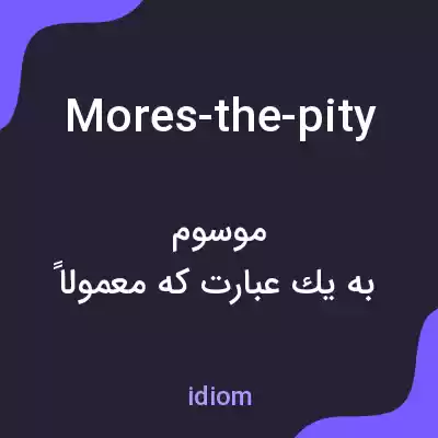 معنی mores-the-pity به فارسی معنی mores-the-pity به فارسی