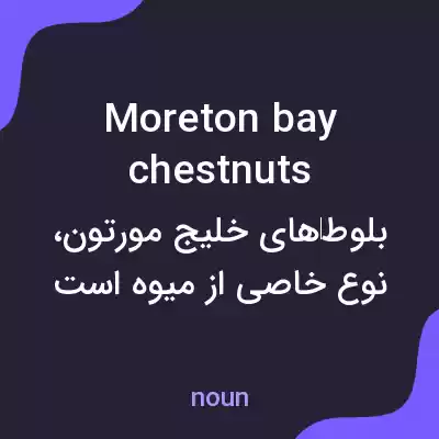 معنی moreton bay chestnuts به فارسی معنی moreton bay chestnuts به فارسی