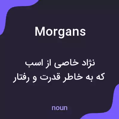 معنی morgans به فارسی معنی morgans به فارسی