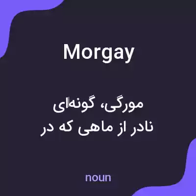 معنی morgay به فارسی معنی morgay به فارسی