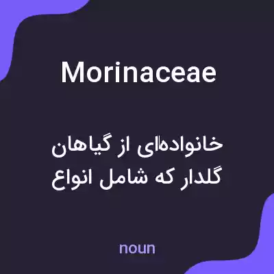 معنی morinaceae به فارسی معنی morinaceae به فارسی