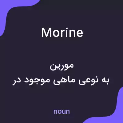 معنی morine به فارسی معنی morine به فارسی
