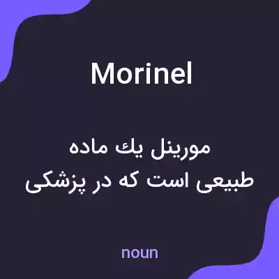 معنی morinel به فارسی معنی morinel به فارسی