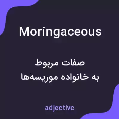 معنی moringaceous به فارسی معنی moringaceous به فارسی