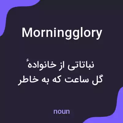 معنی morning glory به فارسی معنی morning glory به فارسی