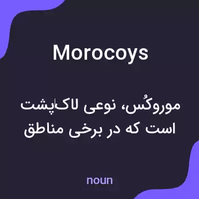 معنی morocoys به فارسی معنی morocoys به فارسی