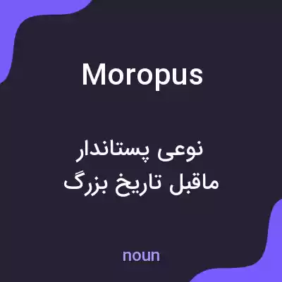 معنی moropus به فارسی معنی moropus به فارسی