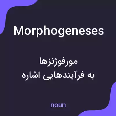 معنی morphogeneses به فارسی معنی morphogeneses به فارسی
