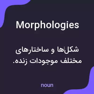 معنی morphologies به فارسی معنی morphologies به فارسی
