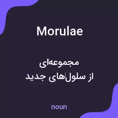 معنی morulae به فارسی معنی morulae به فارسی