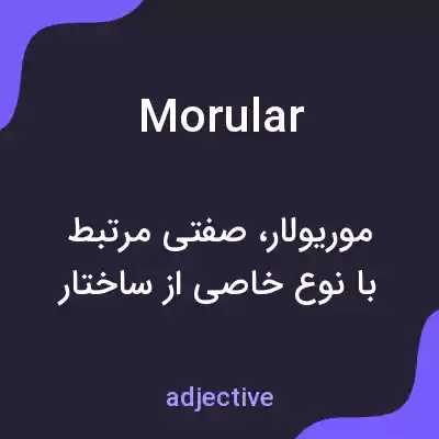 معنی morular به فارسی