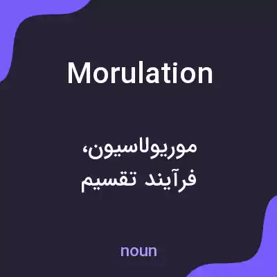 معنی morulation به فارسی معنی morulation به فارسی