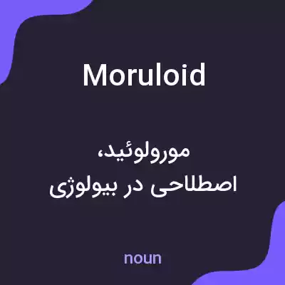 معنی moruloid به فارسی