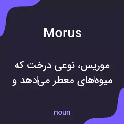 معنی morus به فارسی معنی morus به فارسی