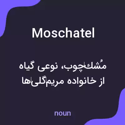 معنی moschatel به فارسی معنی moschatel به فارسی