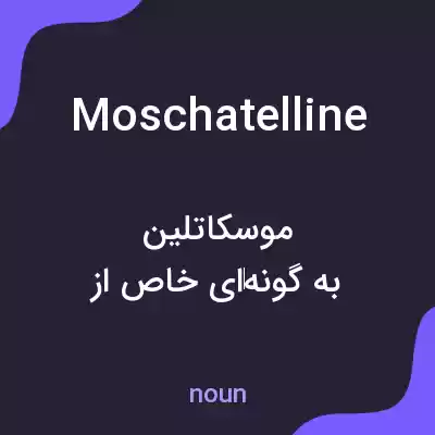 معنی moschatelline به فارسی معنی moschatelline به فارسی