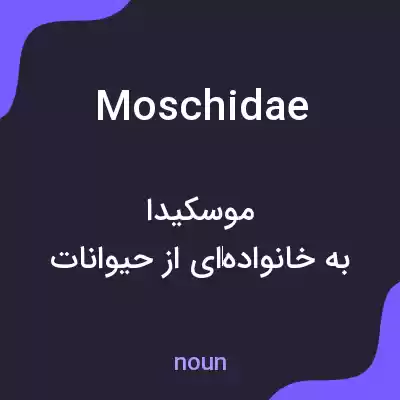 معنی moschidae به فارسی معنی moschidae به فارسی